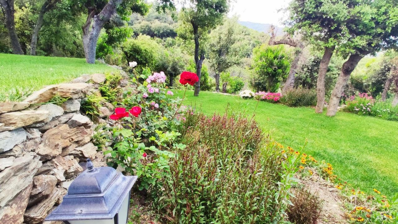 Els Refugis Del Montseny Cal Somni Villa San Pedro de Vilamajor ภายนอก รูปภาพ