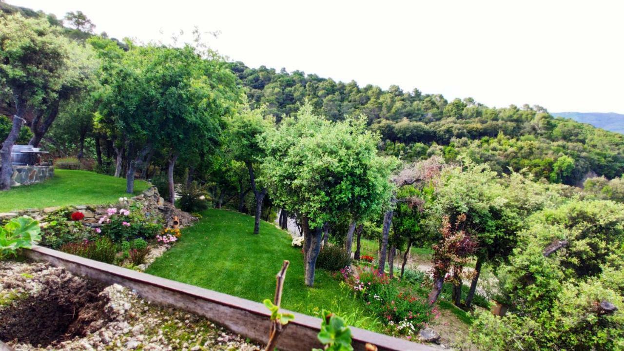 Els Refugis Del Montseny Cal Somni Villa San Pedro de Vilamajor ภายนอก รูปภาพ